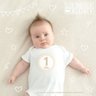 Adesivos Mesversário 1-12 Meses Kit Bebe Cachorro Bege - 3