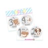 Adesivos Mesversário 1-12 Meses Kit Bebe Cachorro Cinza - 1