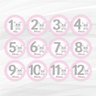 Adesivos Mesversário 1-12 Meses Kit Bebe Ovelha Rosa - 2
