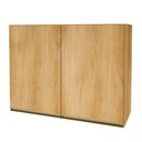 Ver imagem 1 de Armário Aéreo Cozinha 80 Cm 2 Portas 6123.35 Castani - Indekes