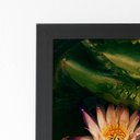 Ver imagem 2 de Quadro Flor de Lótus Rosa Natureza Moldura Preta 60x40cm
