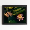 Ver imagem 1 de Quadro Flor de Lótus Rosa Natureza Moldura Preta 60x40cm
