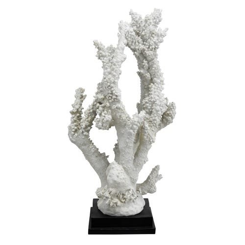 Coral Decorativo Nassau Branco - 1