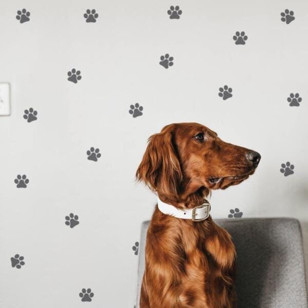 Kit Adesivos de Parede Pets-Rosa-G - 1