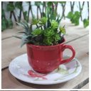 Ver imagem 1 de Xicara Vasinho de Suculentas Arranjo Decorativo Artesanal