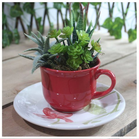 Xicara Vasinho de Suculentas Arranjo Decorativo Artesanal