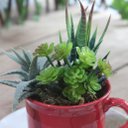 Ver imagem 2 de Xicara Vasinho de Suculentas Arranjo Decorativo Artesanal