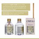 Ver imagem 2 de Difusor de Aromas com Varetas Via Aroma Caszulo 250ml