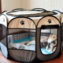 Ver mais imagens de Cercado Pet Dobrável Portátil Casinha Cachorro Cão e Gatos Tamanho Extra Grande 110cm - Cinza