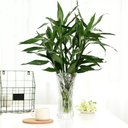 Ver imagem 2 de Vaso De Vidro Flores Decoração De Interiores 23 X 12