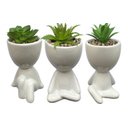 Ver imagem 2 de KIT BOB COM SUCULENTA - BRANCO