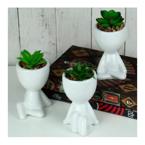 KIT BOB COM SUCULENTA - BRANCO