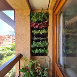Jardim Vertical Madeira 60x60 4 Unid Horta Varanda Luxo - 5