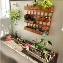 Ver imagem 6 de Jardim Vertical Madeira 60x60 4 Unid Horta Varanda Luxo