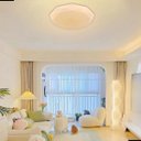 Ver imagem 3 de Plafon Diamante Leitoso 38cm Led 30w Multicolor 3000k 4000k 6500k 2250 Lumens Bivolt Iluminação Inte