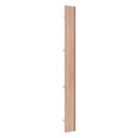 Ver imagem 1 de Porta para Closet Individual 25cm com Puxador Perfil Champagne Luciane Móveis