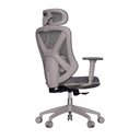 Ver imagem 5 de Cadeira de Escritório Ergonômica Confortável Premium Elements Rasala Certificado Nr17