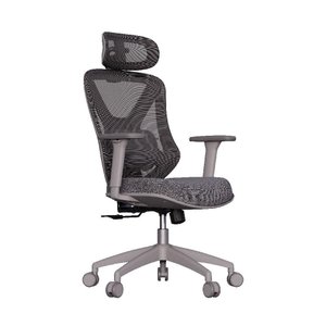 Cadeira de Escritório Ergonômica Confortável Premium Elements Rasala Certificado Nr17