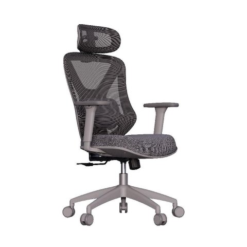 Cadeira de Escritório Ergonômica Confortável Premium Elements Rasala Certificado Nr17