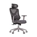 Ver imagem 1 de Cadeira de Escritório Ergonômica Confortável Premium Elements Rasala Certificado Nr17