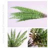 12 Samambaias Planta Artificial 53cm Folhagem Decorativa - 2