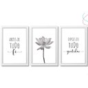 Ver imagem 3 de Kit 3 Quadros Decorativos - Fé e Gratidão Flor de Lótus:preta