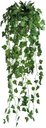 Ver imagem 1 de Arranjo Completo de Prateleiras Plantas Folhagem Heras no Vaso