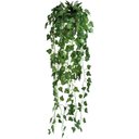 Ver imagem 1 de Arranjo Completo de Prateleiras Plantas Folhagem Heras no Vaso