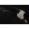 Tapete de Couro de Boi. Pele Bovina Natural. 1,80 x 2,10 M. Preto e Branco. P676A - 5