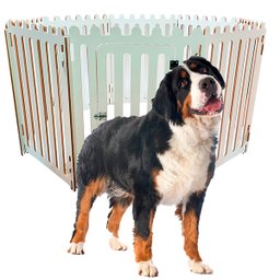 Cercado de Luxo para Cães Medios - 1