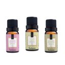 Ver imagem 1 de Kit com 03 Essências 10ml Mais Vendidas Via Aroma