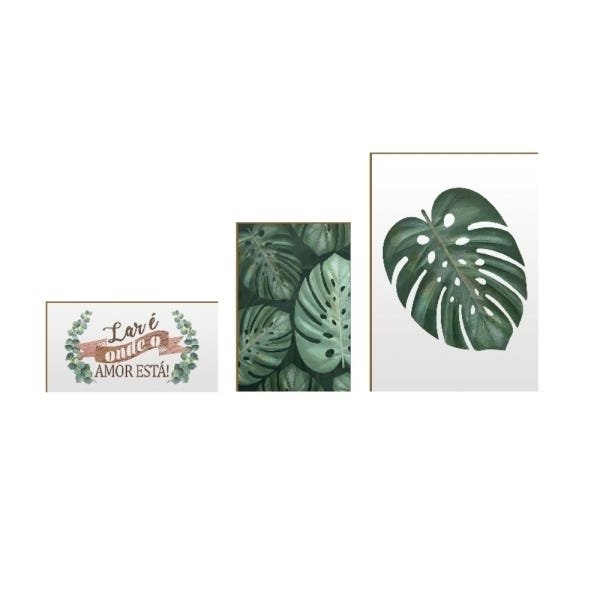 Conjunto três quadros moderninhos costela de adão - 1
