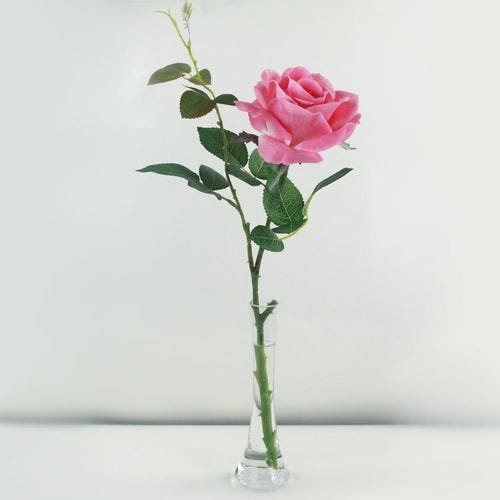 Vaso de Vidro Solitário 25cm Liso Decoração Flores Plantas - 2