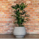 Ver imagem 1 de VASO CUMBUCA BOJUDA M BRANCO MÁRMORE