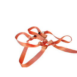 Conjunto Peitoral Ajustável RBPet com Guia - Cães de Grande Porte - 3