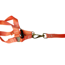 Conjunto Peitoral Ajustável RBPet com Guia - Cães de Grande Porte - 2