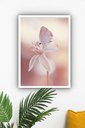 Ver imagem 1 de Quadro Decorativo Borboleta Flor Branca - 70x50cm:moldura Branca