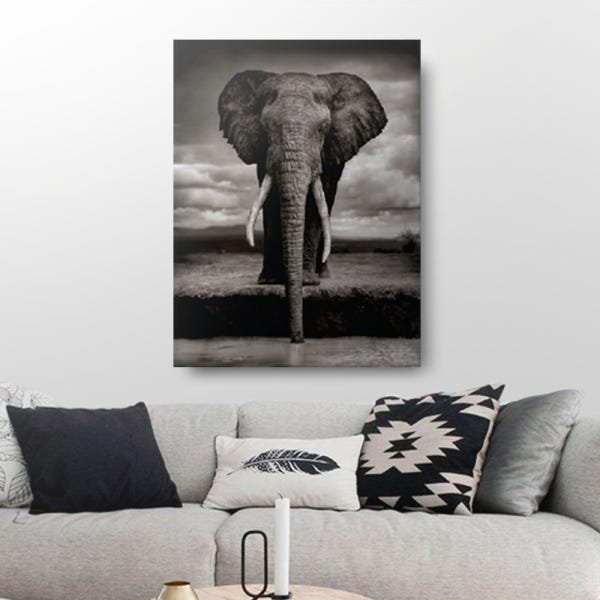 Quadro Decorativo Canvas Elefante Dente 136x86cm - 1