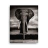 Quadro Decorativo Canvas Elefante Dente 136x86cm - 2
