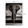 Quadro Decorativo Canvas Elefante Dente 136x86cm - 3