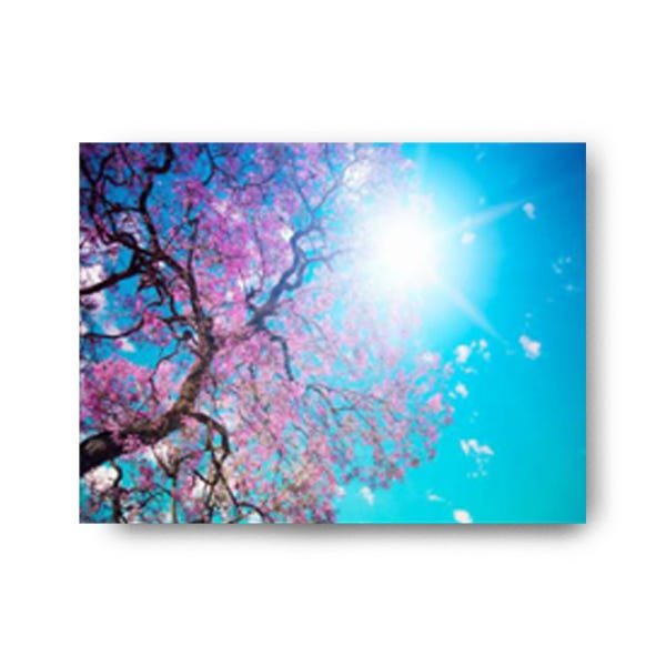 Quadro Decorativo Canvas Folhas Lilás 86x136cm - 2