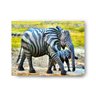 Quadro Decorativo Canvas Elefantes Zebrados 62cm X 86cm - 2