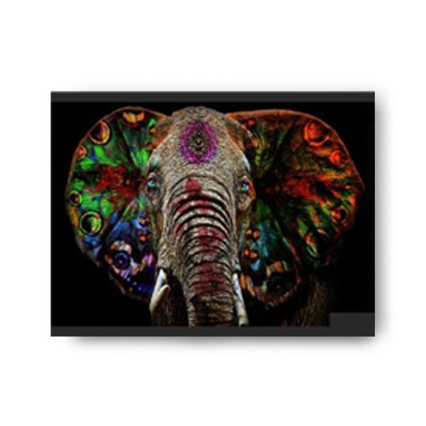 Quadro Decorativo Canvas Elefante Colorido 62cm X 86cm - 2