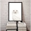 Ver imagem 1 de Quadro Decorativo Fotografia Coruja Branca 33x24cm:madeira Preta