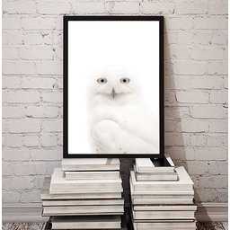 Quadro Decorativo Fotografia Coruja Branca 33x24cm:madeira Preta - 1