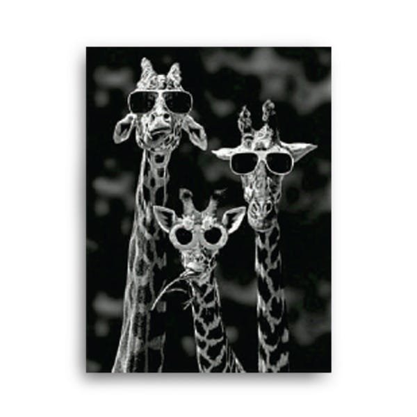 Quadro Decorativo Canvas Girafa Trio Óculos 86cm X 62cm - 2