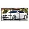 Quadro canvas 68x126 bmw branca parada - 1
