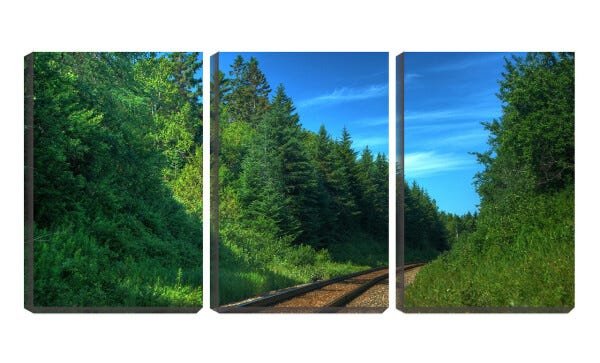 Quadro canvas 68x126 trilhos de trem entre mata - 1