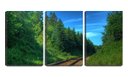 Ver imagem 1 de Quadro canvas 68x126 trilhos de trem entre mata