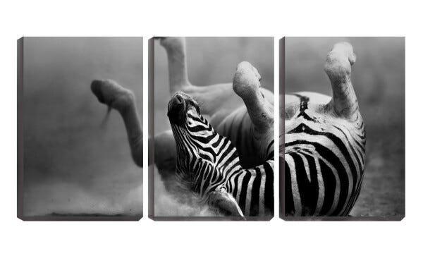 Quadro canvas 68x126 zebra de pernas pro ar pb - 1